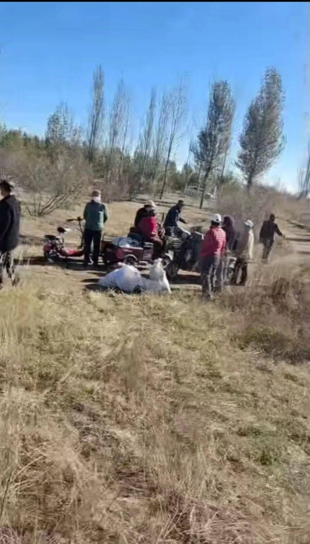 信用网怎么开户
_百亩向日葵遭村民哄抢信用网怎么开户
,损失50万元!警方已行拘4人