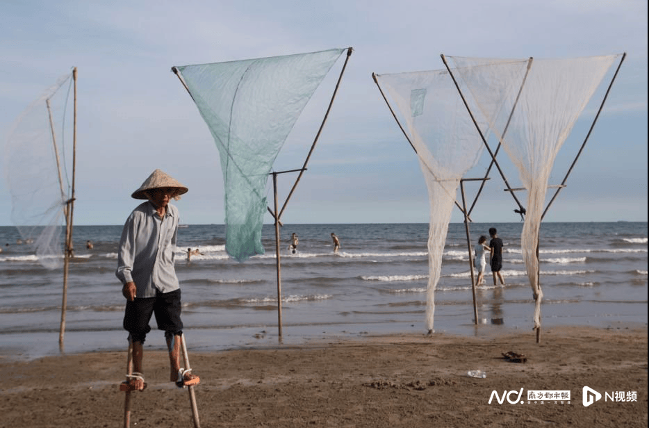 皇冠信用网登3代理注册
_外交部赵立坚点赞湛江：渔网起落间皇冠信用网登3代理注册
，满舱鲜活载着晨光归来