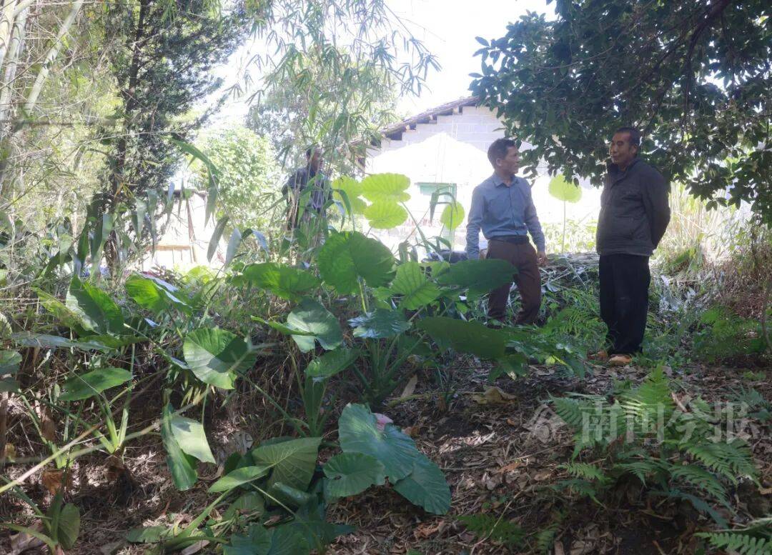 皇冠信用需要押金吗
_柳州钓鱼阿叔竹林挖蚯蚓皇冠信用需要押金吗
，竟挖出千年前的“大宝贝”！